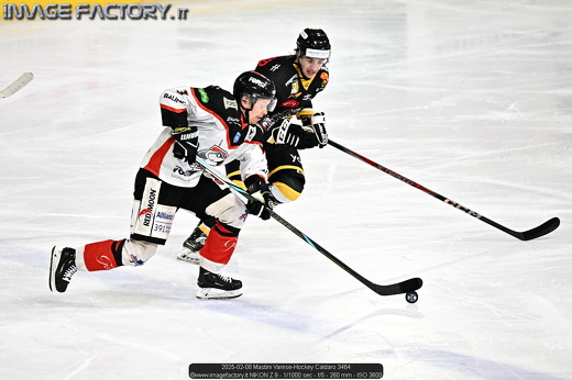 2025-02-08 Mastini Varese-Hockey Caldaro 3464